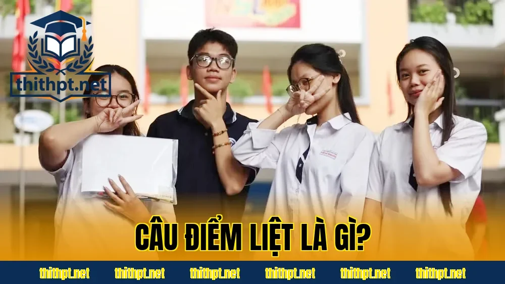 Câu Điểm Liệt Là Gì?